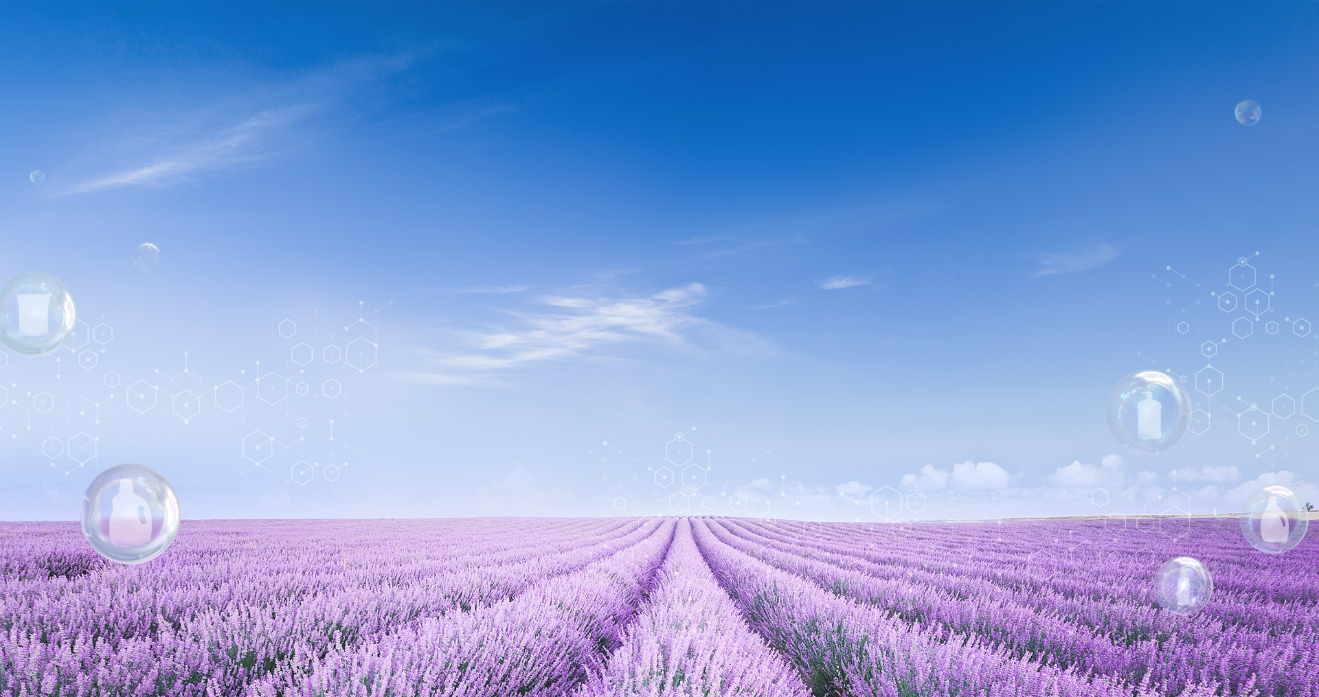 index_bg2