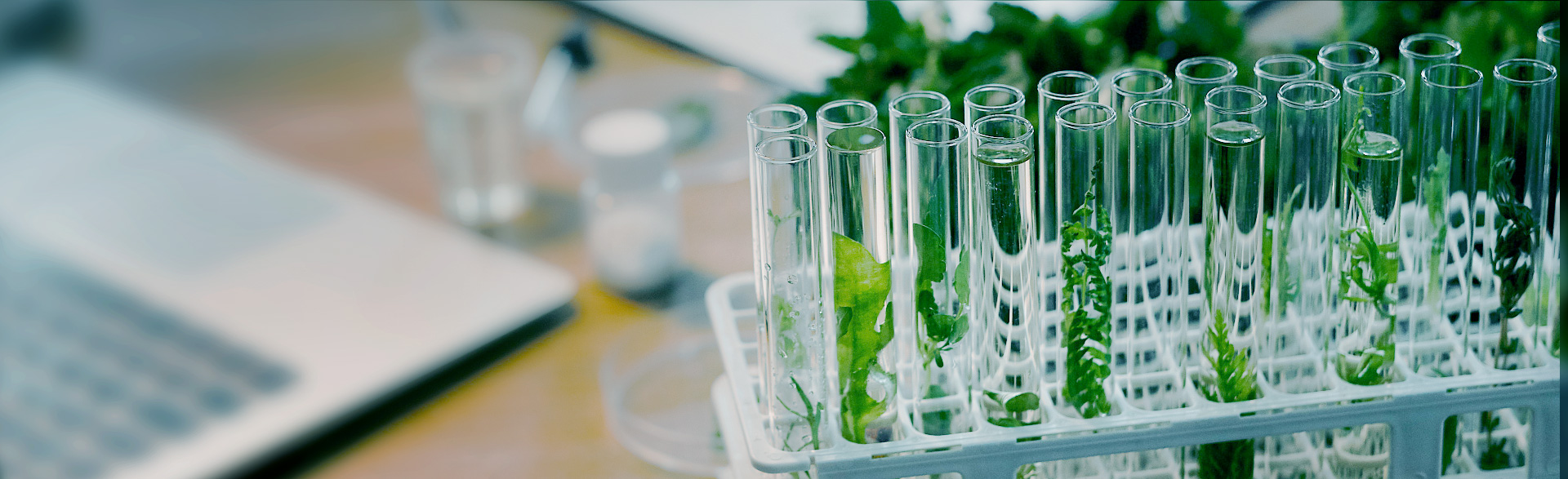 research_banner
